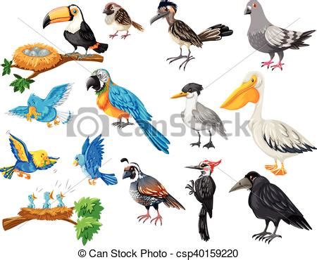Different kinds of birds set illustration.