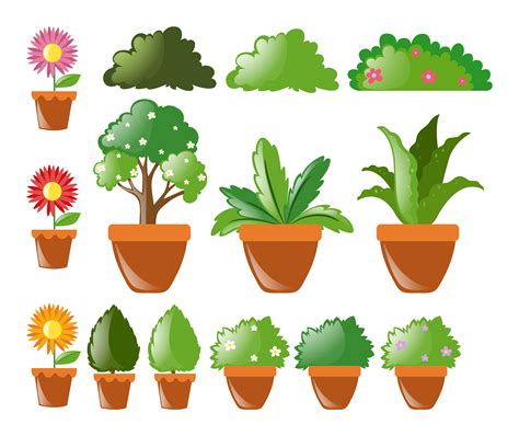 Different kinds of plants in pot   Download Free Vector ...