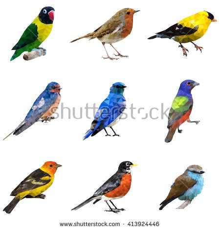 Different Types Of Birds Stock Images, Royalty Free Images ...