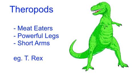 Different Types of Dinosaurs for Kids