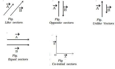 Different types of vectors