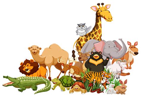 Different types of wild animals together   Download Free ...