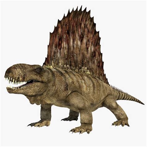 Dimetrodon is an extinct genus of synapsid that lived ...