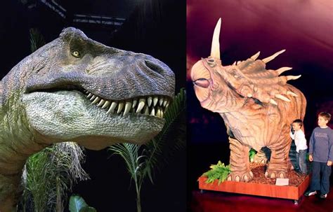 Dino Expo XXL 80 dinosaures a escala real   totnens