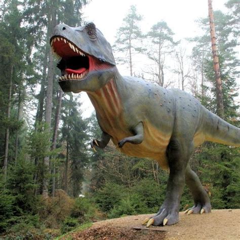 DinoPark: Parque de dinosaurios Alicante | Guía Completa