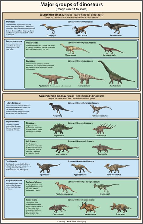 Dinosaur Classification Simplified | Dinosaur facts ...