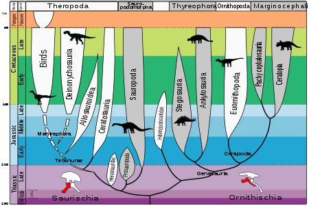 Dinosaur classification Wikipedia