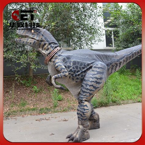Dinosaur costume velociraptor Realistic life size walking ...