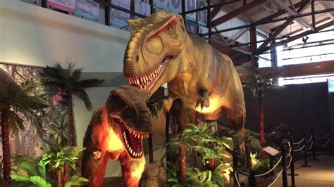 Dinosaur exhibit at the Dubuque river museum and aquarium ...
