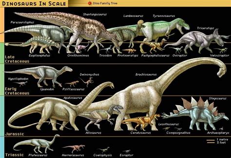 Dinosaur Facts for Kids | Dinosaurs Pictures and Facts