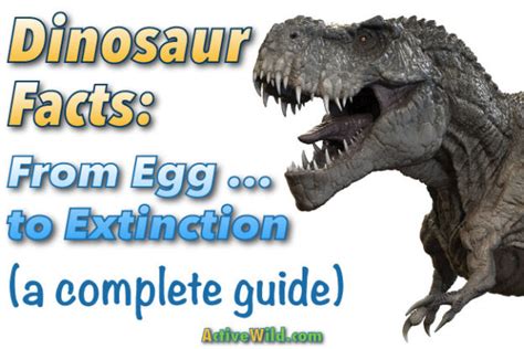 Dinosaur Facts for Kids & Students: Info & Pictures, From ...