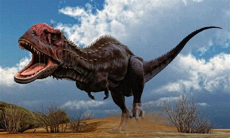 Dinosaur Images & Facts   The Online Database