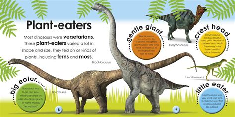 Dinosaur Information for Kids | Dinosaurs Pictures and Facts