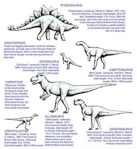dinosaur information – Dinosaurs Pictures and Facts