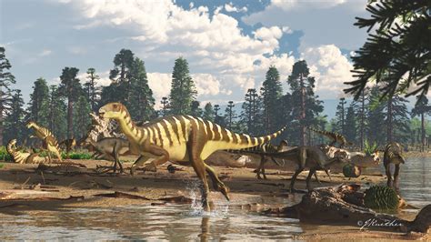 Dinosaur jaw fossils in Australia belong to wallaby sized ...