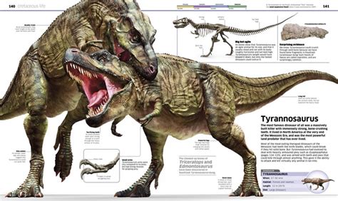 Dinosaur Knowledge Encyclopedia | DK Book | In Stock   Buy ...