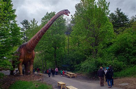 Dinosaur Park Opens in New York