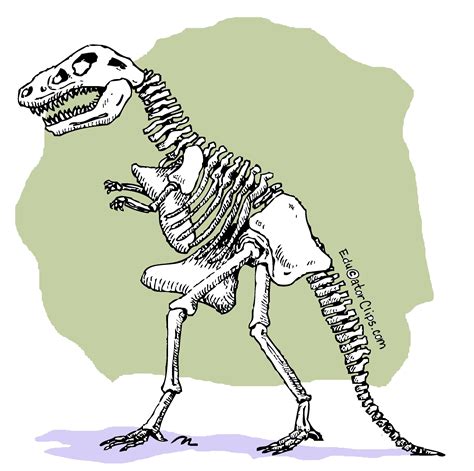 Dinosaur Skeleton Clip Art at www.educatorClips.com ...