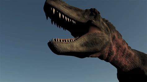 Dinosaur Test Video CGI / 3D Jurassic Dinos   YouTube