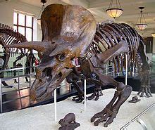 Dinosauria   Wikipedia, la enciclopedia libre | Esqueletos ...