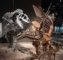 Dinosauria   Wikipedia, la enciclopedia libre