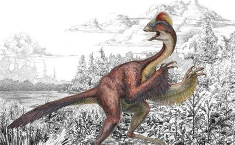Dinosaurio con cresta como de gallina vivió en América hace 66 millones ...