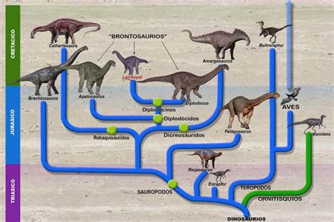 Dinosaurio de cuello largo en Argentina   Info   Taringa!
