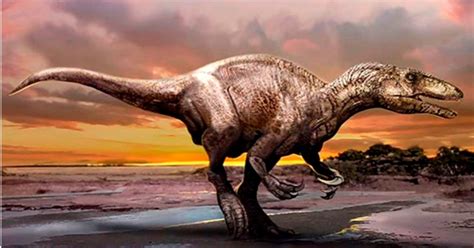 Dinosaurio depredador: nueva especie encontrada ¡fue de ...