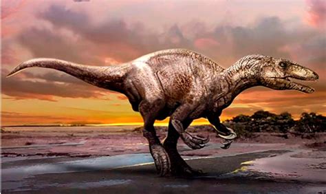 Dinosaurio depredador: nueva especie encontrada ¡fue de ...