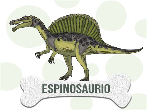 DINOSAURIO: Espinosaurio o Spinosaurus Características