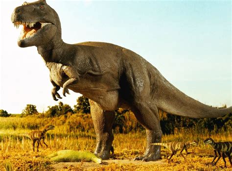 Dinosaurio. Estos son más fuertes y tienen hambre. | Dinosaurio real ...