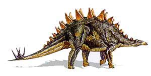 dinosaurio: Tuojiangosaurio