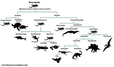 Dinosauriomanía, lo que querías saber de los dinosaurios ...