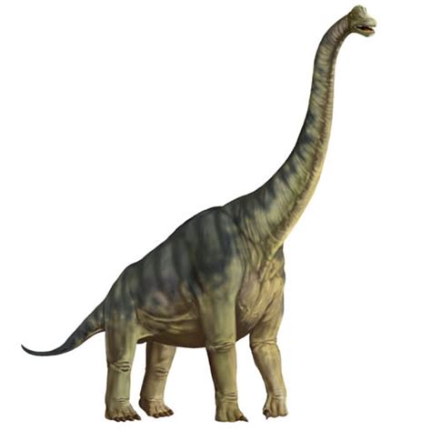 Dinosauriomanía, lo que querías saber de los dinosaurios: Récord del ...