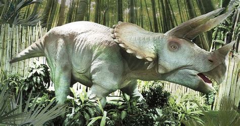 Dinosaurios animatronics conquistan el Museo de los Niños