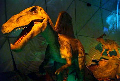 Dinosaurios animatronics de hasta 30 metros llegan a Lima | Noticias ...