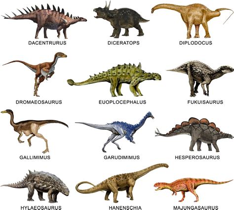 dinosaurios   Buscar con Google | los dinosaurios ...
