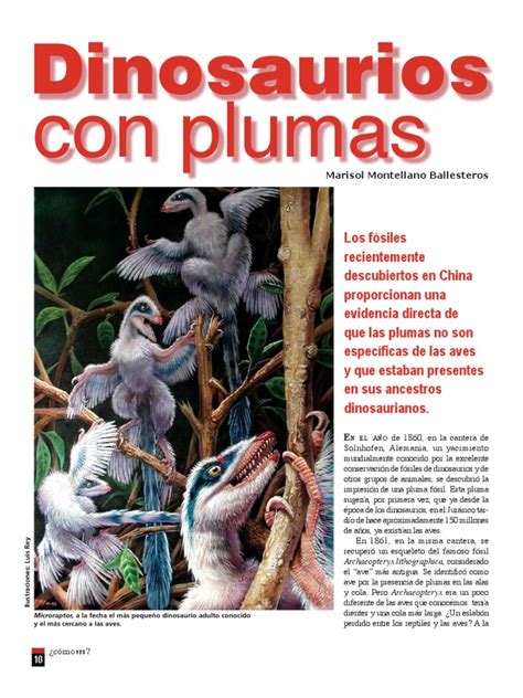 Dinosaurios Con Plumas 1 Copia | Feather | Dinosaurs