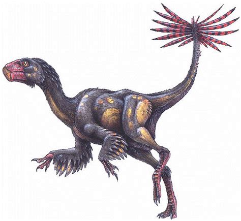 Dinosaurios con plumas | Existieron los dinosaurios emplumados?  2022