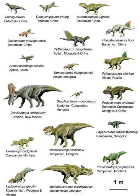 Dinosaurios con sus nombres   Imagui