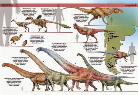 Dinosaurios de america del sur  con imágenes  | Animales ...