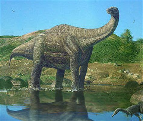 Dinosaurios de Argentina: Dinosaurios de Neuquén