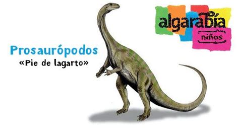 Dinosaurios de tierra, agua y aire | Algarabía niños | Dinosaurios ...