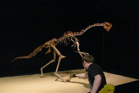 Dinosaurios del desierto de Gobi en Alcobendas | Edición ...