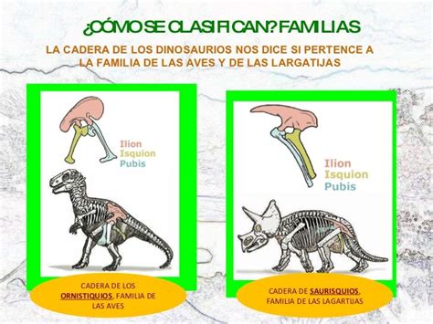 Dinosaurios | Dinosaurios, Paleontología, Educacion inicial