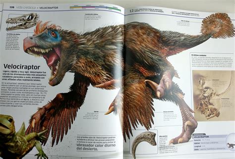Dinosaurios ,el libro que faltaba a la biblioteca de tu ...