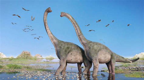 Dinosaurios en la Tierra por extinción a causa del cambio ...