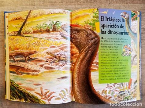 dinosaurios   enciclopedia fleurus junior   muy   Comprar ...