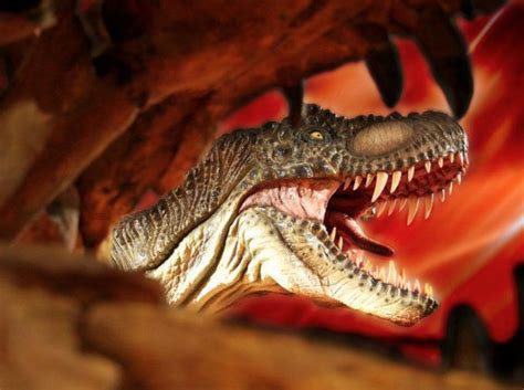 Dinosaurios: Exposiciones, Museos y Parques por España | Exposiciones ...