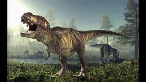 Dinosaurios extincion| dinosaurios para niños|dinosaurios ...